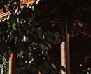Просто и красиво: как оформить беседку из дерева (55 фото) Просто и красиво: как оформить беседку из дерева (55 фото)