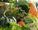 Что и как высадить на овощную клумбу: 7 идей полезного и необычного оформления грядок Что и как высадить на овощную клумбу: 7 идей полезного и необычного оформления грядок